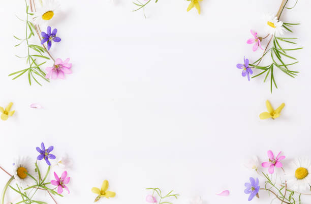 istock Delicate small wildflowers in pink, blue, purple on a white background 1395584615