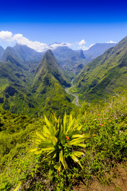 Cirque de Mafate, Dos d'Ane, Reunion Island Cirque de Mafate, Dos d'Ane at Reunion Island french overseas territory stock pictures, royalty-free photos & images