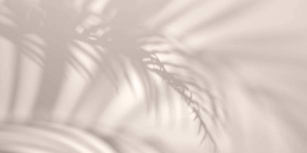 istock Palm leaf shadow overlay effect.  Summer background with tropical leaves shadows. 1395590203