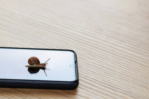 istock Snail walking quietly on a smartphone 1395590928