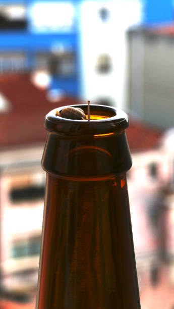 中に入ってきたカタツムリの目が見えるビール瓶 - beer beer bottle snail slow ストックフォトと画像