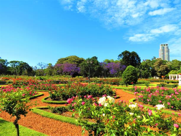 The Rosedal Park in Buenos Aires city. stock photo
