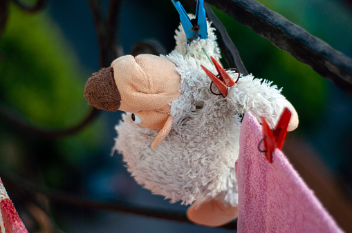 soft toy dries after washing