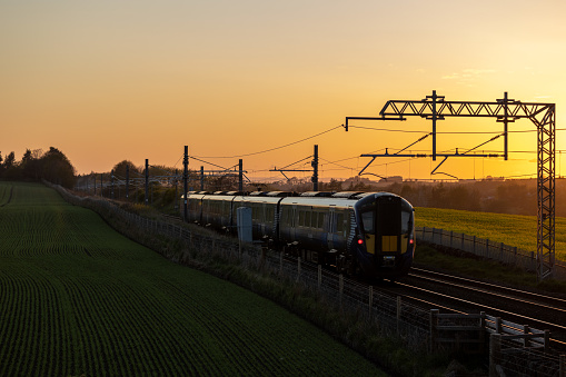 ScotRail Train and sunset with powerline silhouette against the sky. The train passes through farm land in Scotland with rapeseed in the far field and lines of the cereal crop in the foreground. Railway line near Linlithgow