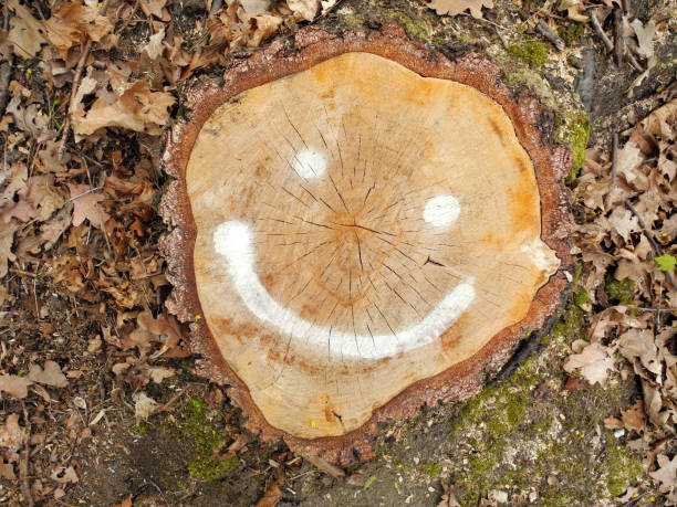 Smile painted with white paint on stump in forest. Active leisure and good mood concept