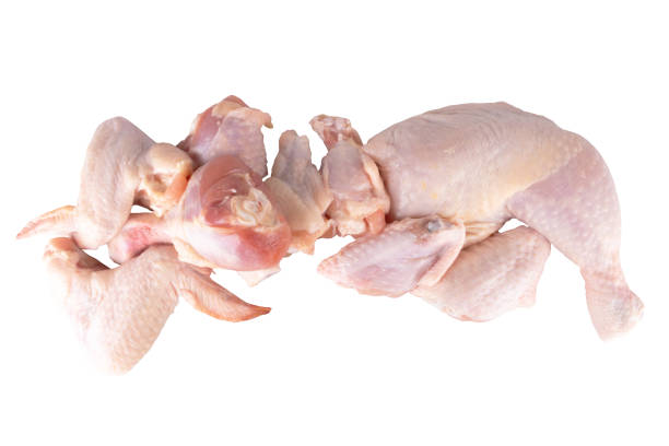 istock chicken collection fresh isolated on white background 1395595499