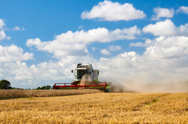 Combine harvester harvesting crops at barley farm against cloudy sky during sunny day