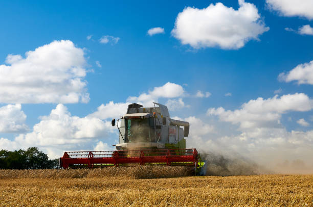 istock Combine harvester harvesting crops against sky 1395595534