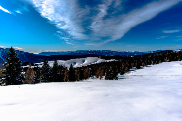 istock 2021 12 11 Cima Larici snow and pines 4 1395595912