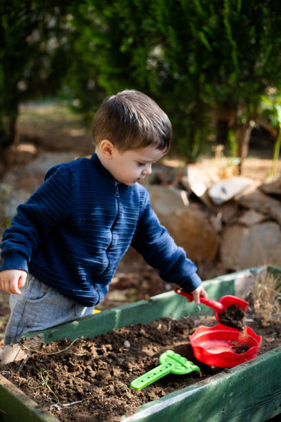 istock Little boy playing with dirt in a garden 1395596862