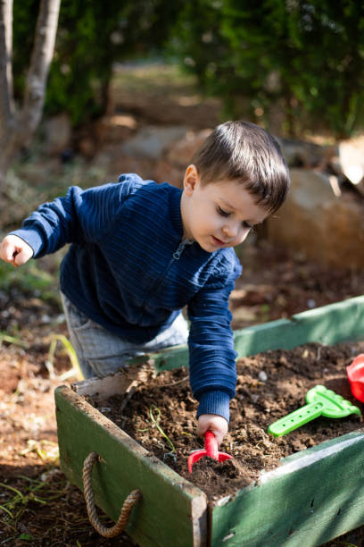 istock Little boy playing with dirt in a garden 1395597123