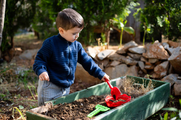 istock Little boy playing with dirt in a garden 1395597247