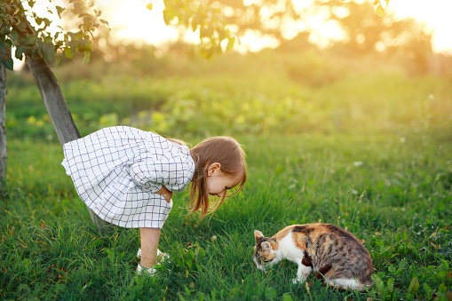 Laughing, the girl bent over the pet, which is eating food in the garden on the grass. A child amusingly watches a stray cat eat. A child feeds domestic animals.