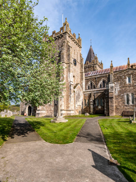 istock Spring Flowers in Ottery St Mary 1395599004
