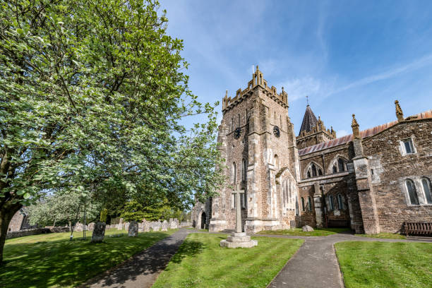 istock Spring Flowers in Ottery St Mary 1395599149