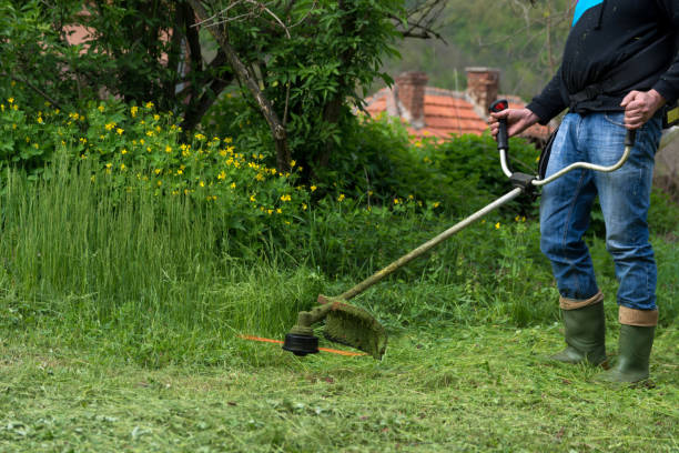 istock Man with hand grass mower trimming yard in the village 1395604537
