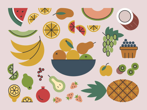 illustrations, cliparts, dessins animés et icônes de fruits frais et bol — série brightline - watermelon fruit food portion