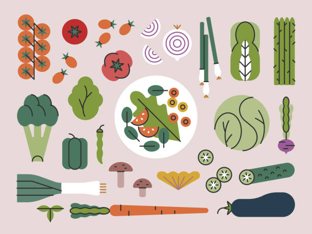 ilustraciones, imágenes clip art, dibujos animados e iconos de stock de verduras frescas y plato de ensalada — brightline series - antioxidant
