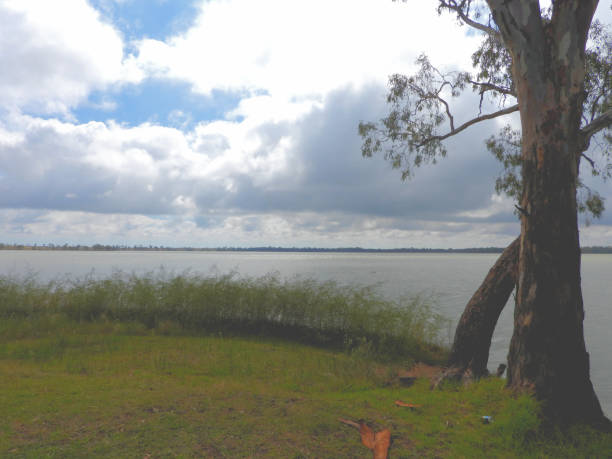 istock Lake Cargelligo, NSW, Australia 1395611021