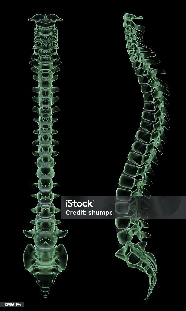 X-ray anteriore e lato della spina dorsale umana - Foto stock royalty-free di Anatomia umana