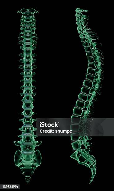 Xray Anteriore E Lato Della Spina Dorsale Umana - Fotografie stock e altre immagini di Anatomia umana - Anatomia umana, Biologia, Coccige