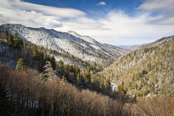 gatlinburg parco nazionale great smoky mountains inverno neve paesaggio si affacciano - great smoky mountains gatlinburg great smoky mountains national park appalachian mountains foto e immagini stock