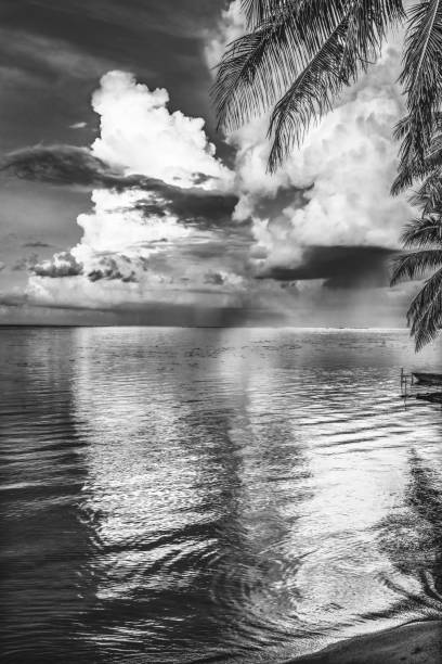 Black White Rain Storm Cloudscape Beach Reflection Water Moorea Tahiti Black White Rain Storm Coming Cloudscape Beach Sunset Palm Trees Reflection Water Moorea Tahiti French Polynesia. Different shades in water in  lagoon and coral reefs polynesia photos stock pictures, royalty-free photos & images