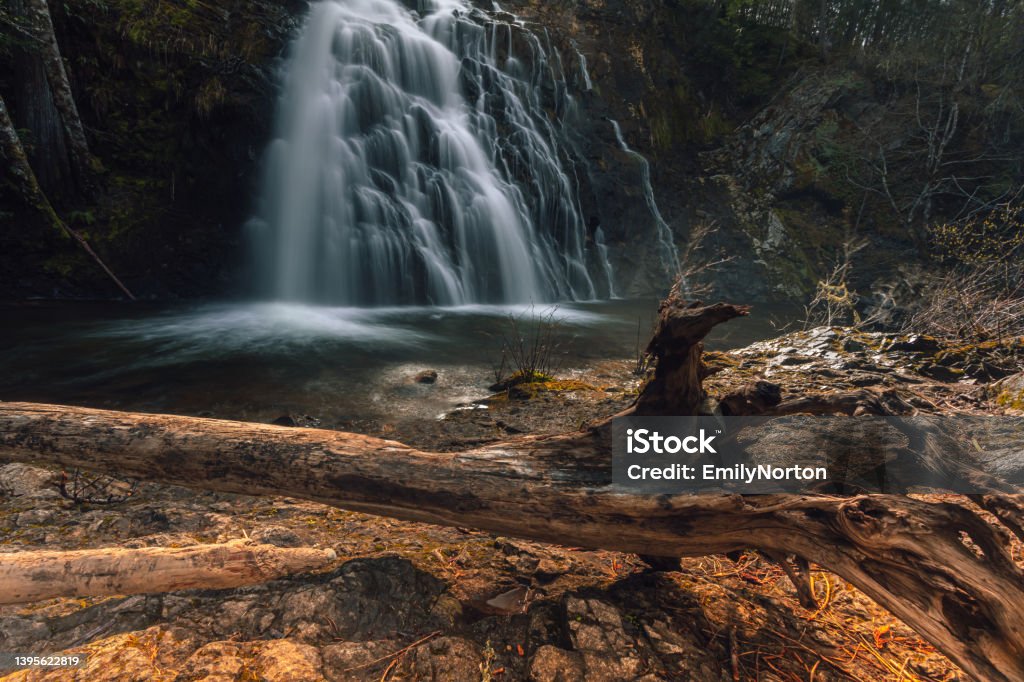 Christie Falls, Vancouver Island Beautiful waterfall located on Vancouver Island. Forest Stock Photo