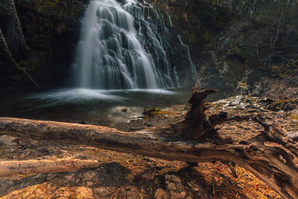 Christie Falls, Vancouver Island stock photo