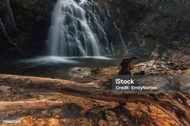 Christie Falls Vancouver Island Stock Photo - Download Image Now - Forest, Vancouver Island, Water