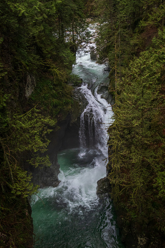 River Flowing through Lynn Canyon, located in beautiful British Columbia.