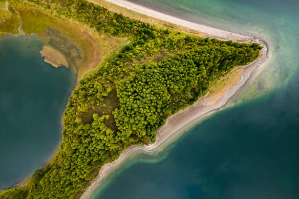 istock Green shore near sea in summer 1395629843