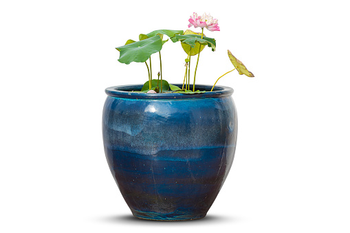 Terracotta garden plant pot  isolated on white background.