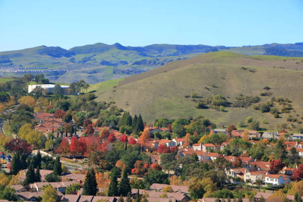 The plantations in this city make up for the lack of native autumn foliage in California