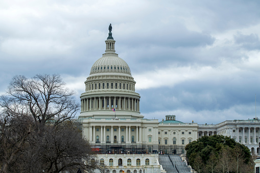 US Capitol, Washington DC, USA