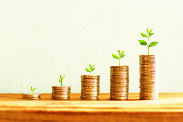 istock Money growing plant 1395639181