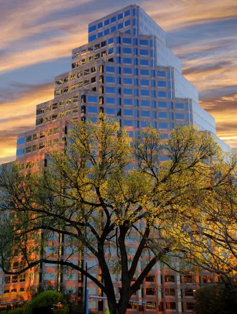 Photo of Skyscraper on Congress in downtown Austin Texas glowing with color in the early sunrise.