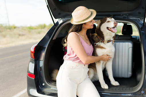 Dog lover. Gorgeous hispanic woman hugging her husky dog while sitting on the car trunk during a road trip