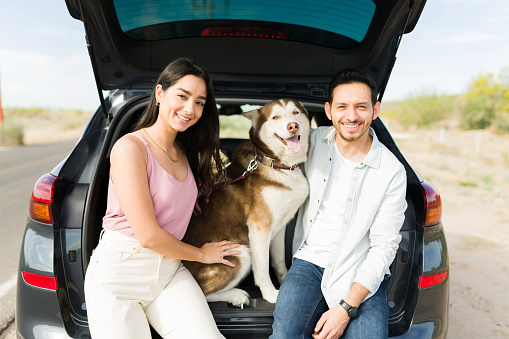 Young couple and their dog sitting together in the car trunk while taking a break from driving during a road trip