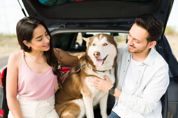 istock Attractive couple hugging a big dog 1395642901