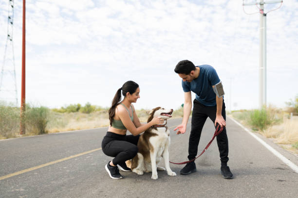 istock Fit couple bringing their dog while exercising 1395644382