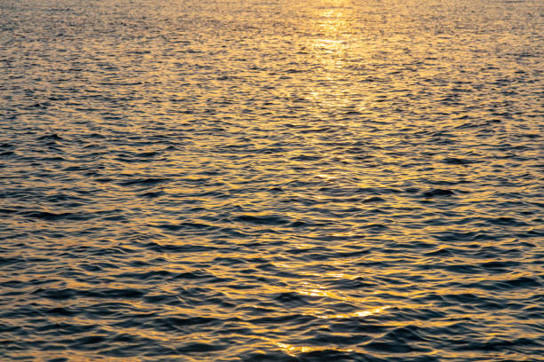 istock Sea water at sunset background. Ocean surface small ripple, orange reflection, empty backdrop 1395648919
