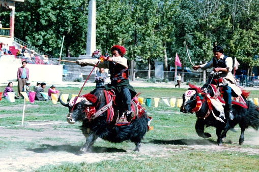 In the Shoton Festival, has a lot of performances and competitions.It was a yak-riding race,people watched it with great relish.Film photo in August 1995's Lhasa