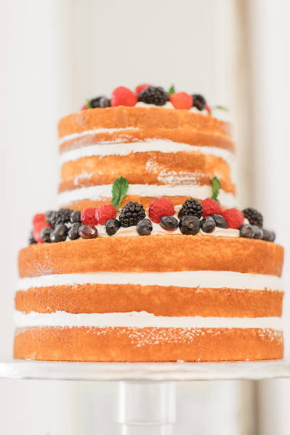 istock Fresh Berry Naked Wedding Cake on a Dessert Bar at a Chic Neutral, Romantic Rustic Modern Style Wedding Reception Decor at a Spring Wedding in Tennessee 1395650067