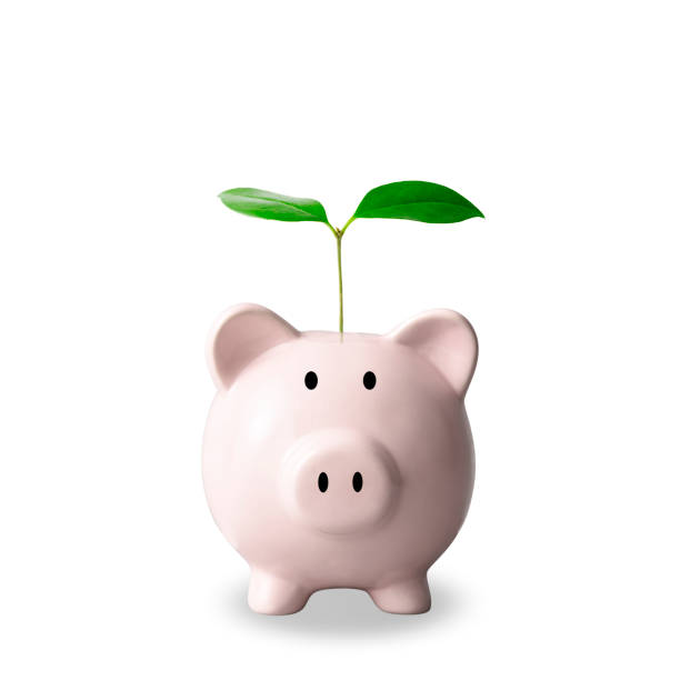 istock Piggy bank with a first sprout on white background 1395653194