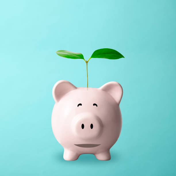 istock Smiling piggy bank with a first sprout on light blue background 1395653196