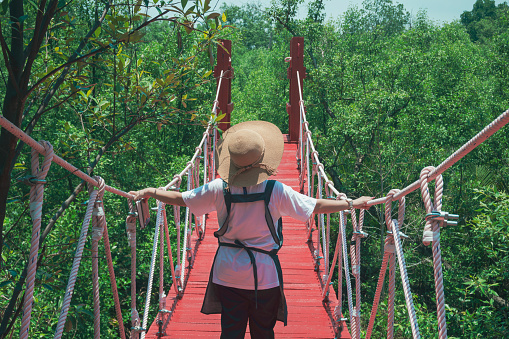 Rear view of female tourist walking across red hanging wooden bridge in mangrove forest at natural parkland, ecotourism concept
