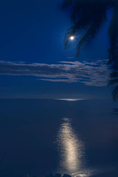 istock Moon Night Reflection Blue Water Moorea Tahiti 1395657646