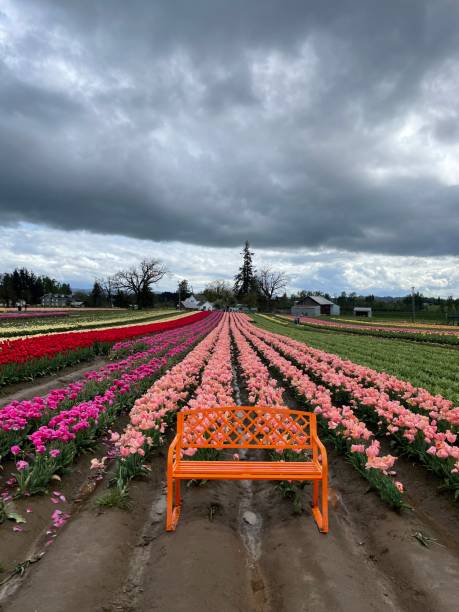 Woodburn oregon
