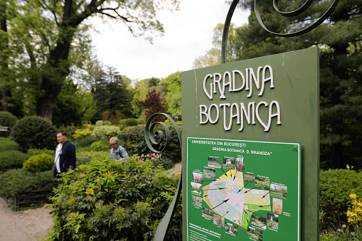 Bucharest, Romania - May 1, 2022: Botanical garden of Bucharest on a sunny spring day.
